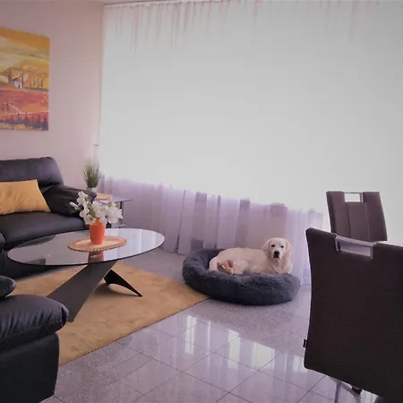 459 Apartment Hohegeiss