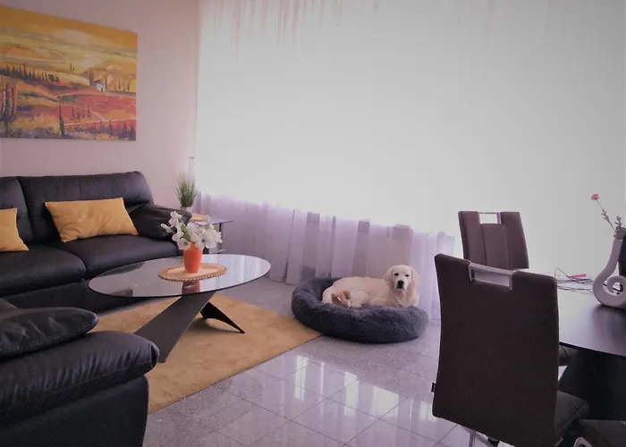 459 Apartment Hohegeiss