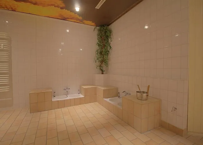 Apartment 459 Hohegeiss